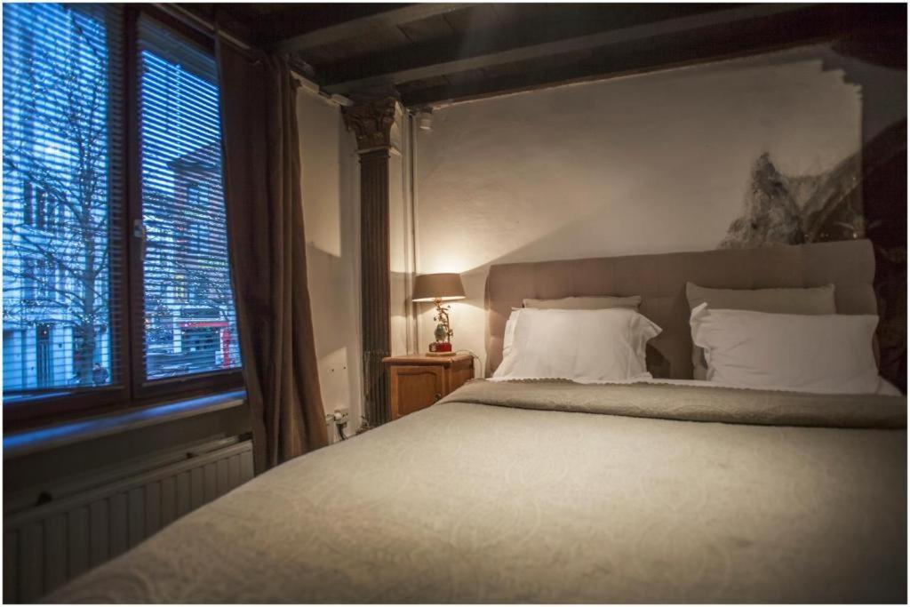 Living History - Drie Koningen Lejlighedshotel Antwerpen Eksteriør billede